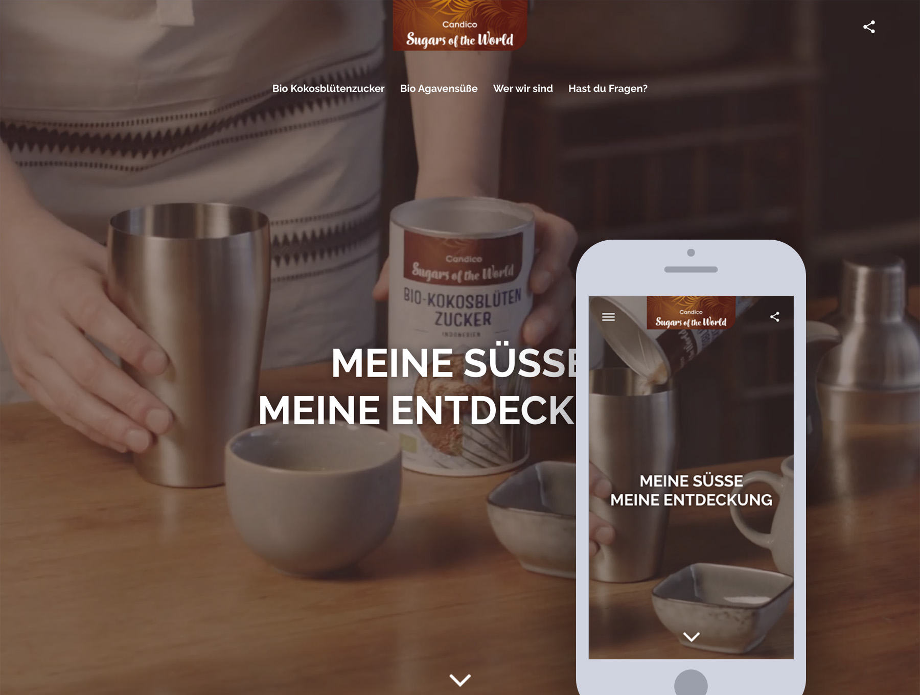 Candico WordPress Development